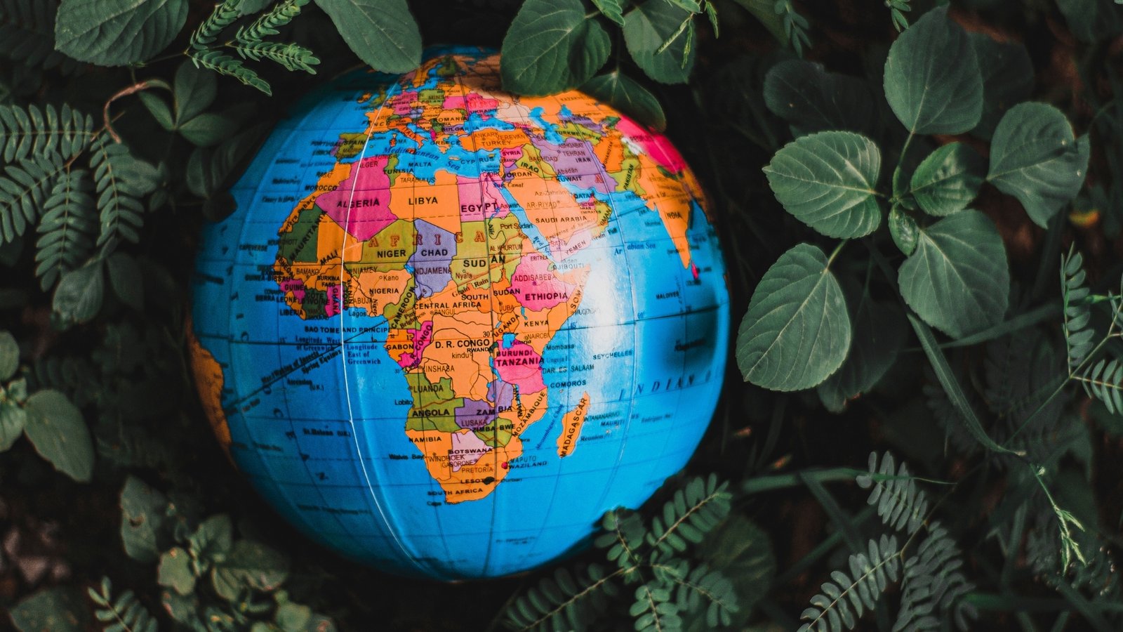 Globe montrant l'Afrique dans la nature - J2A Advisory